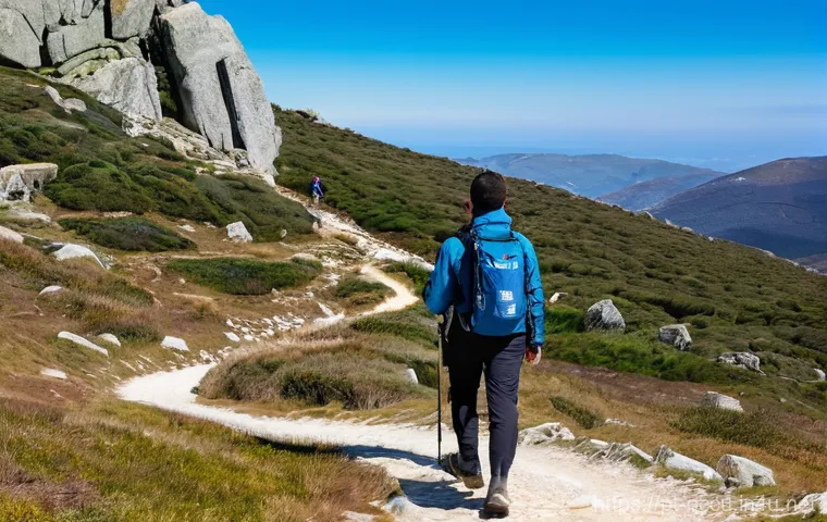 응급구조사와 출동 간 신속 대처법 - **Prompt 2: Community Hero Performing First Aid in Lisbon**
In a bustling outdoor café terrace i... 응급구조사와 출동 간 신속 대처법 - **Prompt 2: Community Hero Performing First Aid in Lisbon**
In a bustling outdoor café terrace i...